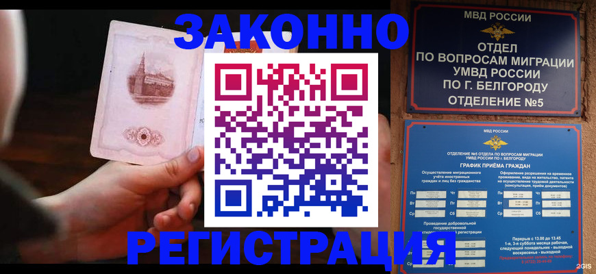 прописка 2025 в Белой Холунице